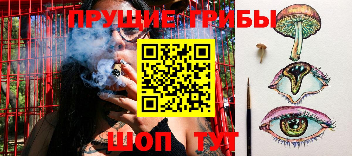 Саянск  Галлюциногенные грибы мухоморы  Галлюциногенные грибы ЛСД  где найти наркотики  Вход с VPN 