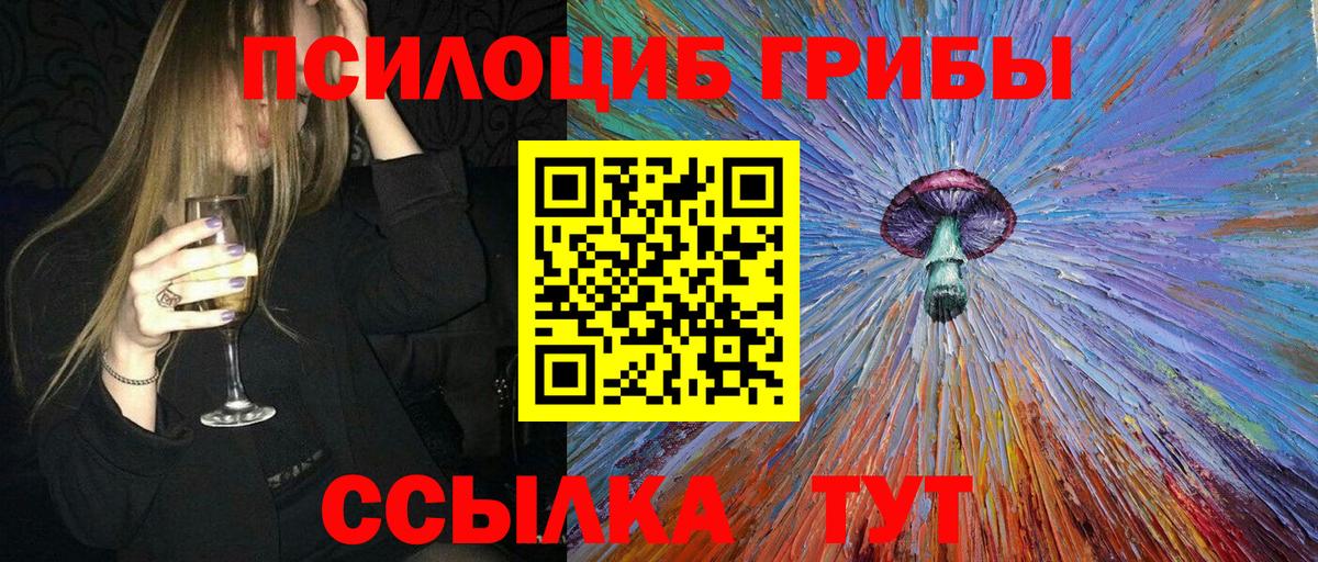 Псилоцибиновые грибы мицелий Саянск